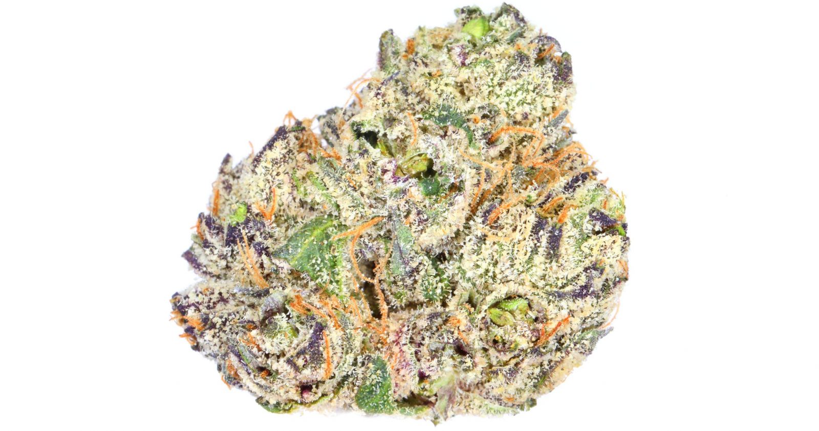 Lemon Cherry Gelato